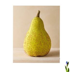 John Derian Pear Shaped Yellow and Brown Accent Pillow